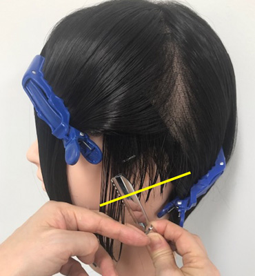 wig+ナチュラル