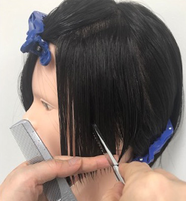 wig+ナチュラル