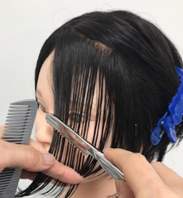 wig+インテリジェンス
