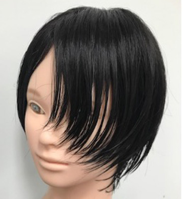 wig+インテリジェンス