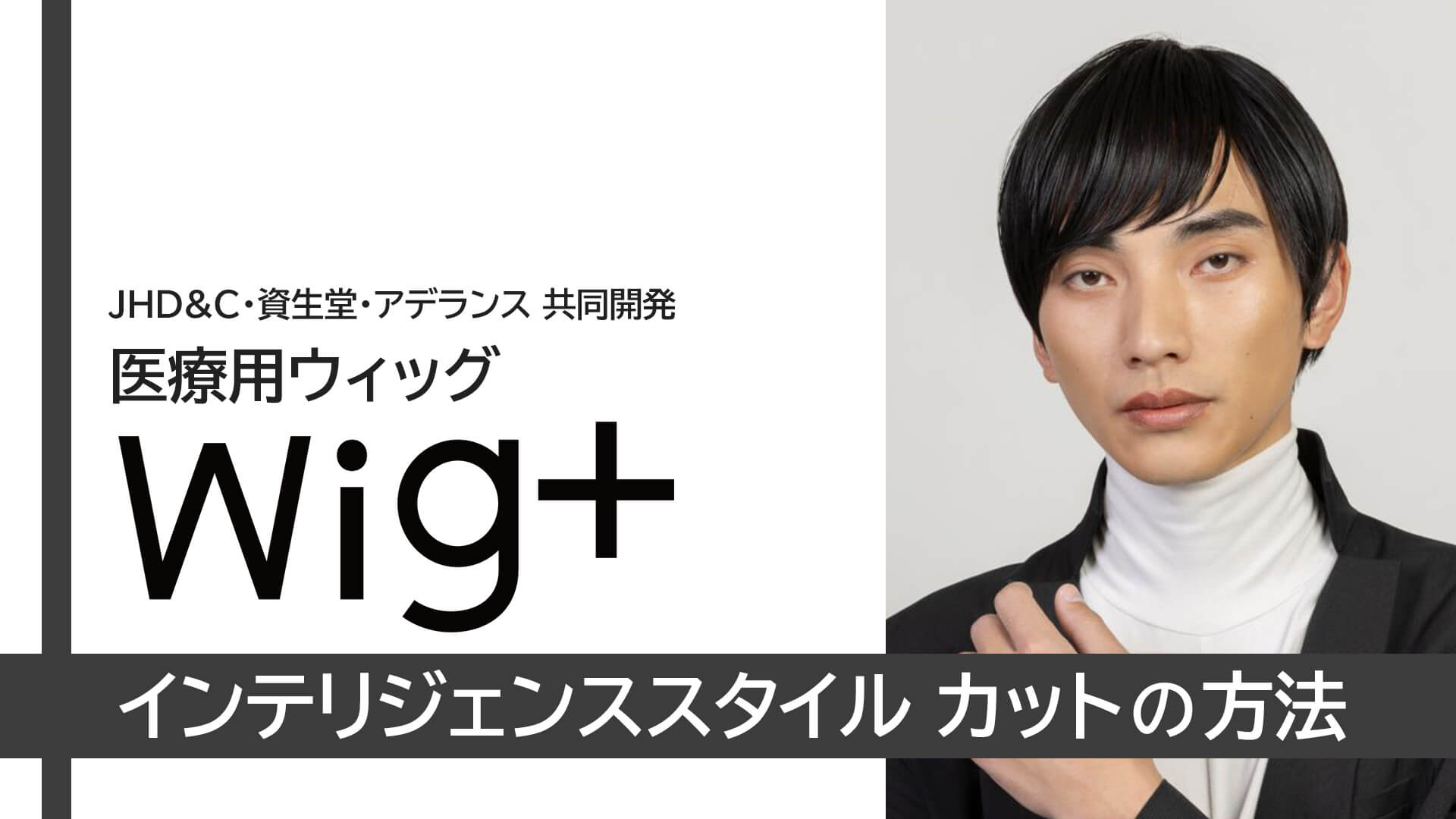 wig+インテリジェンス