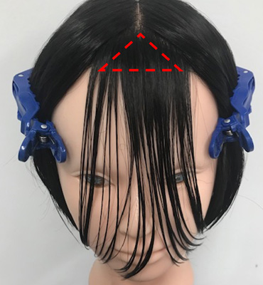 wig+ナチュラル
